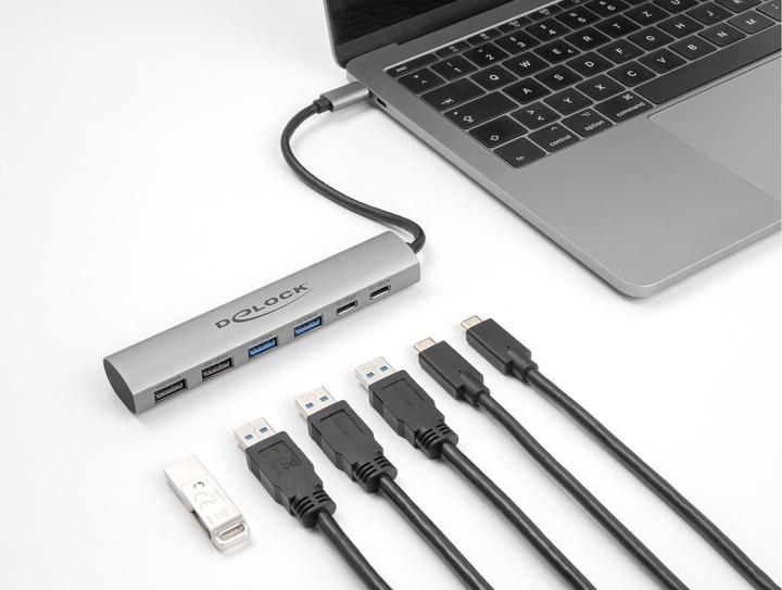 Image du produit Delock USB Hub (USB-C, 6 Ports)