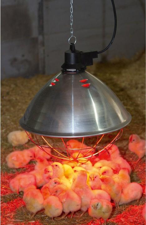 Image du produit Kerbl Appareil à rayonnement thermique Infra