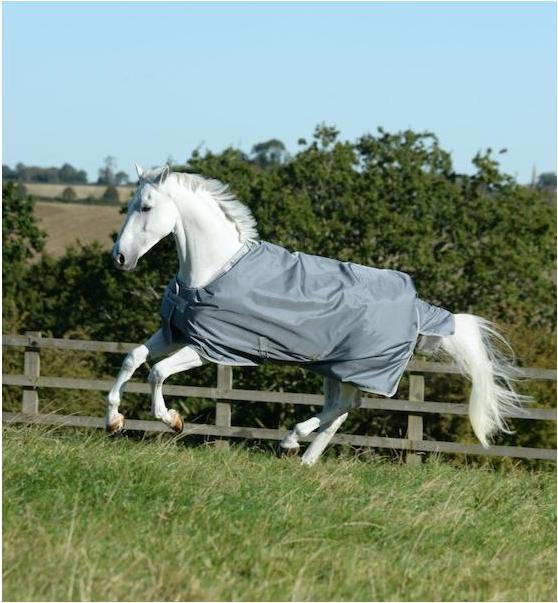 Image du produit Bucas Couverture d'hiver Smartex Extra Classic 300g (145 cm)