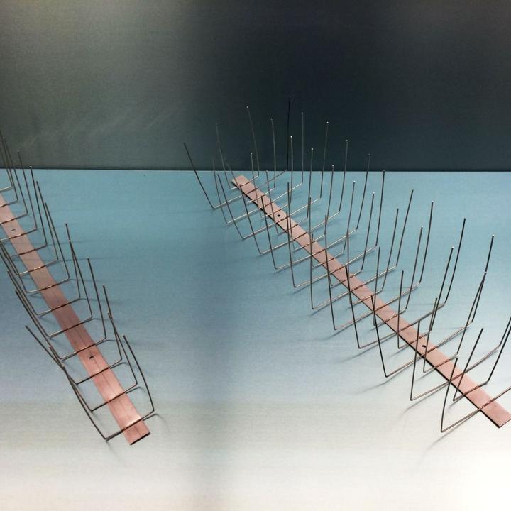 Immagine prodotto Green Split Difesa per piccioni in acciaio inox V2A 2 file