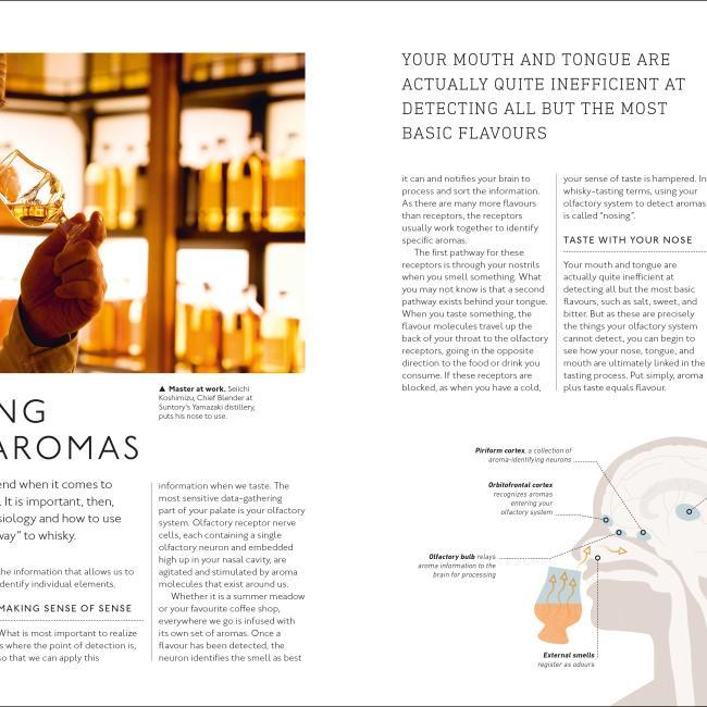 Immagine prodotto Whisky A Tasting Course (Inglese, Eddie Ludlow, 2019)