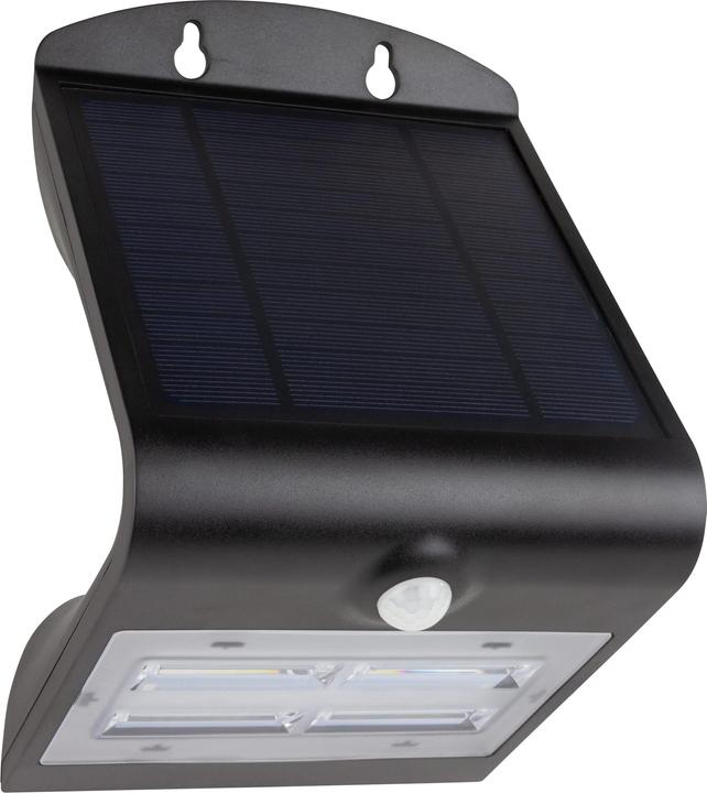 Produktbild REV Solar LED Butterfly mit Bewegungsmelder (3200 lm, IP54)