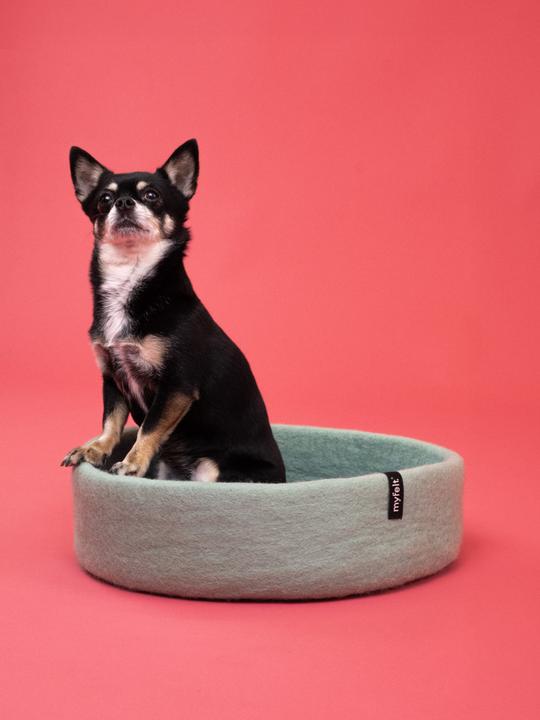 Produktbild Myfelt Fine (Hund)