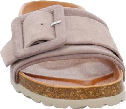 Actual product image Verbenas Reiko (37)