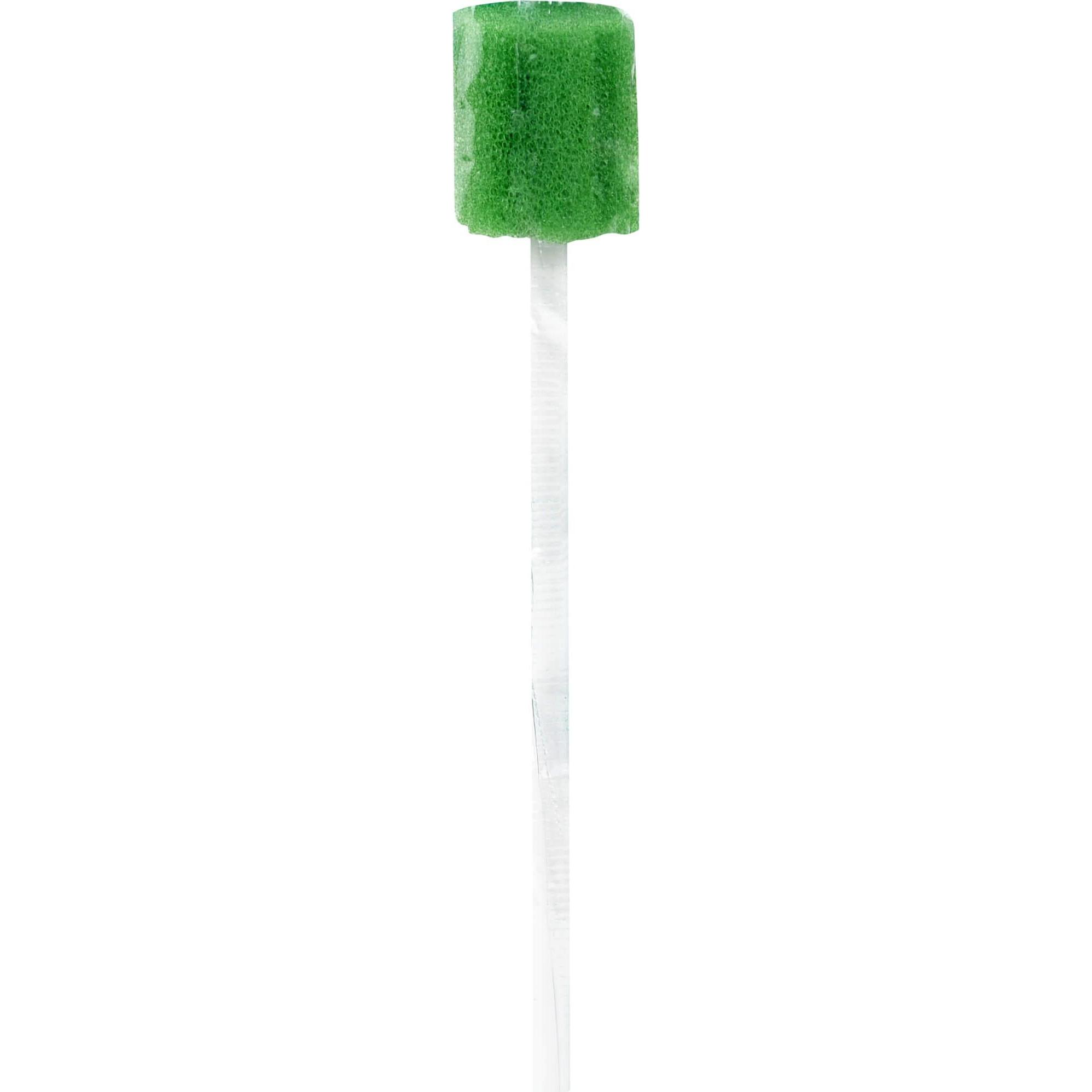 CareLiv, Praxisbedarf, Mundpflegestäbchen Schaumstoff neutral, 10 St
