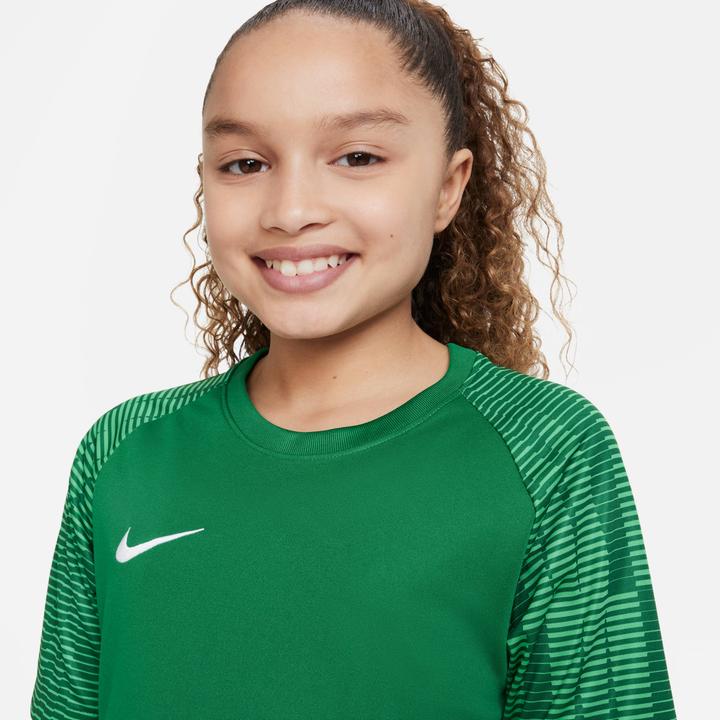 Image du produit Nike Dri-Fit Academy, Maillot de football manches courtes, Vert pin/Hyper vert/blanc, L, garçon (L)