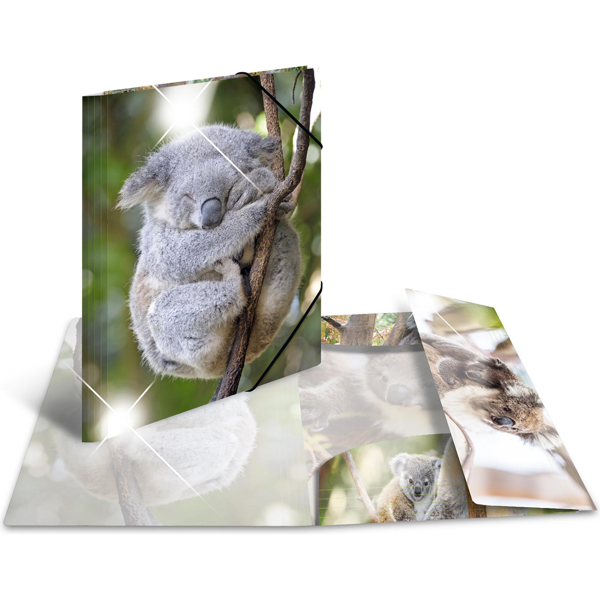 Herma, Mappe, Eckspannermappe "Koala", PP Glossy, DIN A3 Masse: (B)315 x (T)4 x (H)440 mm, mit 3 Innenklappen (A3, 1 x)