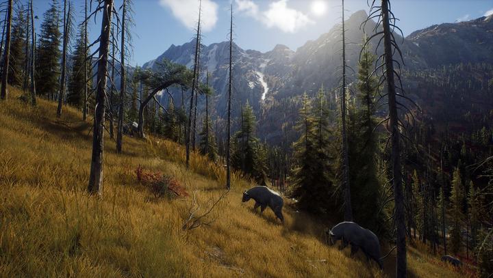 Produktbild THQ Way of the Hunter - Hunting Season One (PS5, IT, FR)