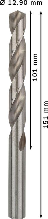 Actual product image Bosch Professional Zubehör PRO Metal HSS-G twist drill, 12.9 x 101 x 151 mm (12.9 mm)