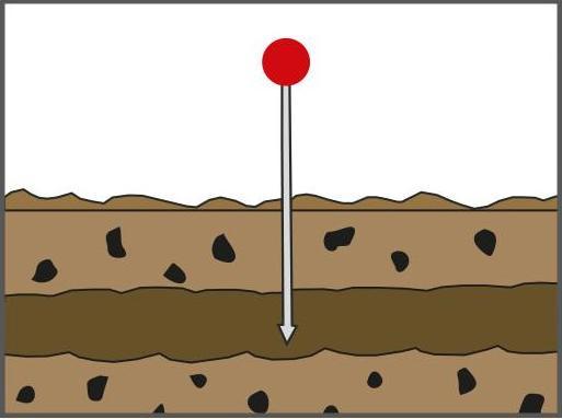Actual product image Swissinno Vole Trap SuperCat
