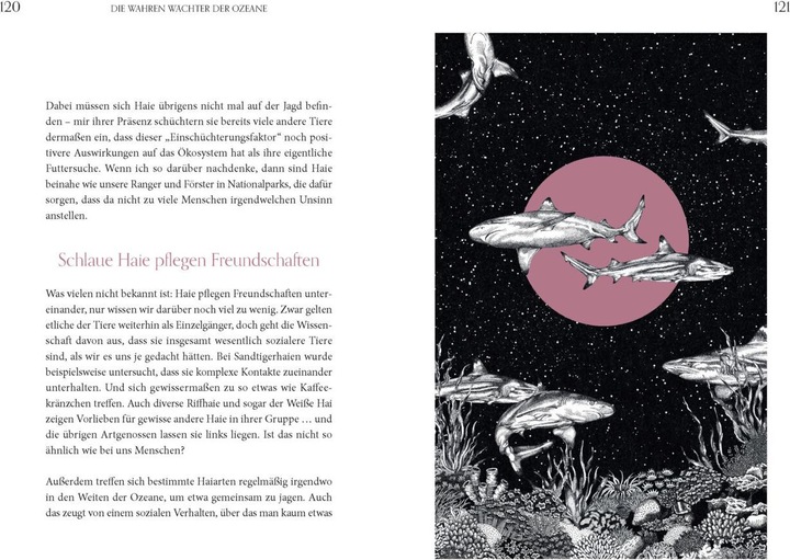 Produktbild Faszination Haie - Wächter der Meere (Deutsch, Michael Stavaric, Michèle Ganser, 2024)