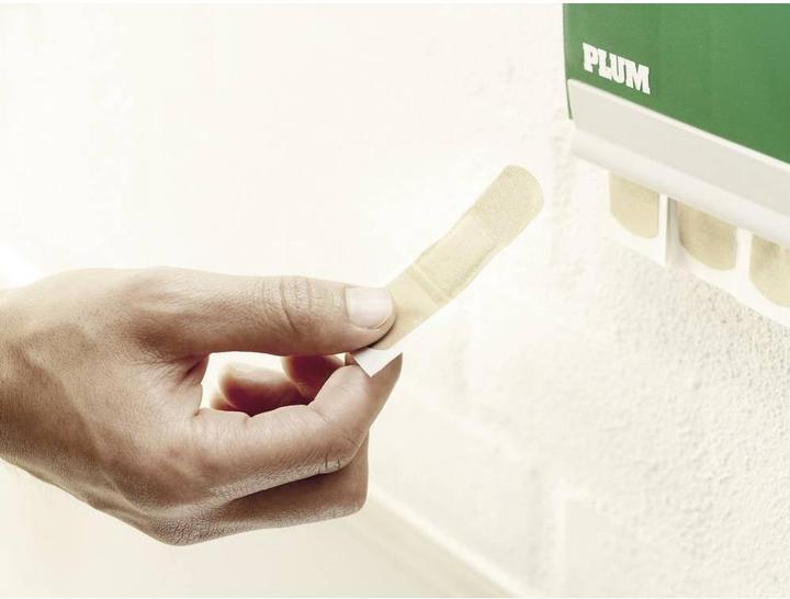 Actual product image Plum Plaster dispenser (W x H x D) 23 (1 x)