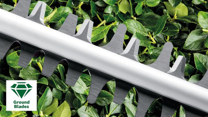 Immagine prodotto Bosch Home & Garden EasyHedgeCut 18-45 (Tagliasiepi a batteria)