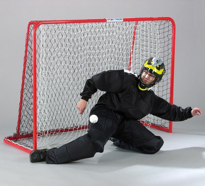Immagine prodotto Sport-Thieme Porta da competizione per floorball 160x115 cm