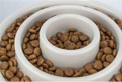 Image du produit Trixie Slow Feeding, gamelle, pour un chien (0.45 l)