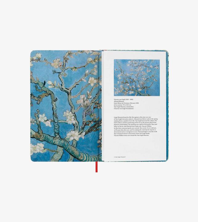 Produktbild Moleskine Skizzenbuch Hard Cover blanko t??rkis (A5, Blanko, Harter Einband)