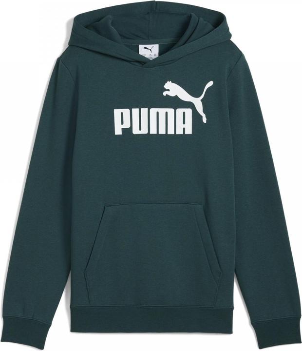 Image du produit Puma Sweat à capuche ESS No. 1 Logo FL B (140)