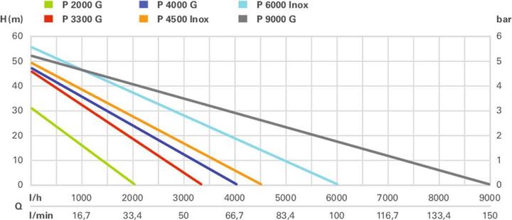 Actual product image Metabo P 6000 Inox (Garden pump)