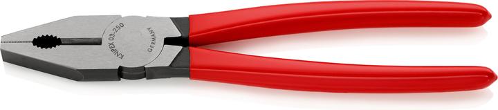 Actual product image Knipex Combination Pliers (250 mm)