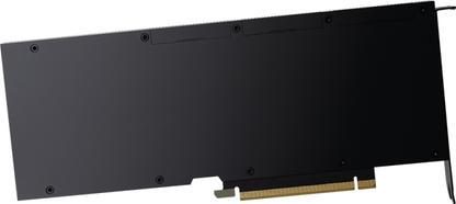 Actual product image PNY NVIDIA A100 Modul 80GB HBM2+++ (80 GB)