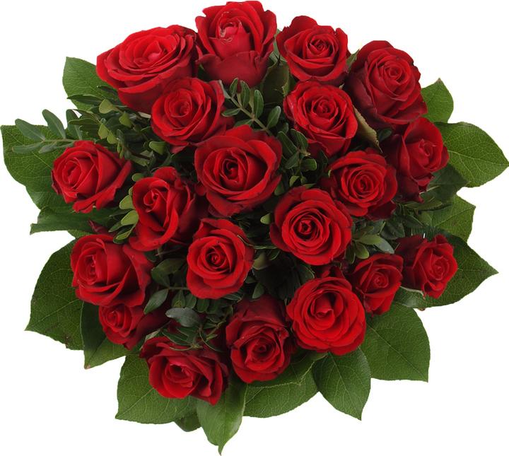 Image du produit Floramall 20 Roses rouges (Fleurs coupées)