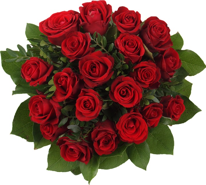 Floramall 20 rose rosse (Fiori recisi)