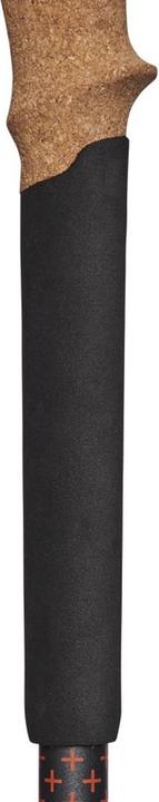 Image du produit Black Diamond Pursuit Trekking Poles (125 cm)