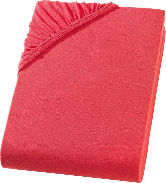 Rot