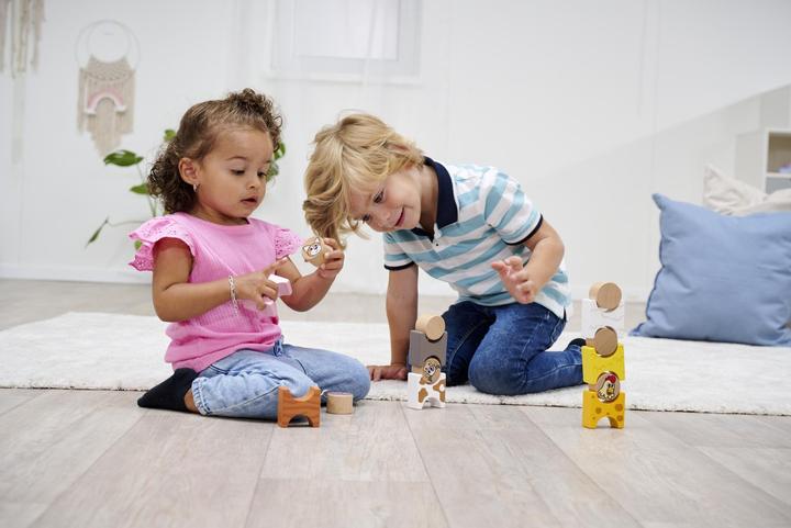 Actual product image Eichhorn Stacking game farm