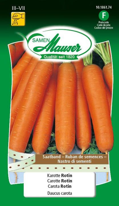 Image du produit Samen Mauser Karotte Rotin Saatband (Graines de légumes)