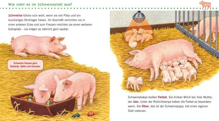 Productafbeelding Unkaputtbar: Erstes Wissen: Unser Bauernhof (Duits, Petra Klose, 2022)
