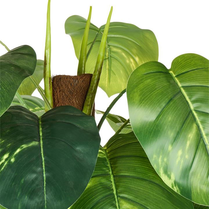 Immagine prodotto Beliani Dieffenbachia (152 cm)