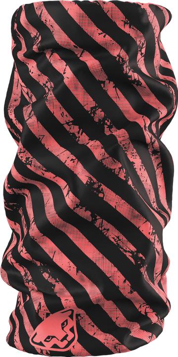 Immagine prodotto Dynafit Graphic Neck Halstuch