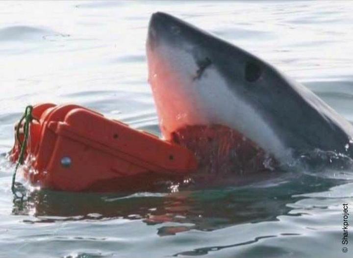 Productafbeelding Explorer Cases Speciale koffer 48x37x21 cm Mod. 4820 (35.50 l)