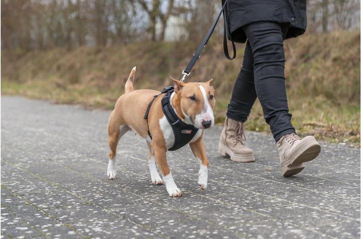 Image du produit Trixie Premium FlexMesh harness, wide fit,L:63–92cm/25mm,black (L, Chien, Général, Promenade)