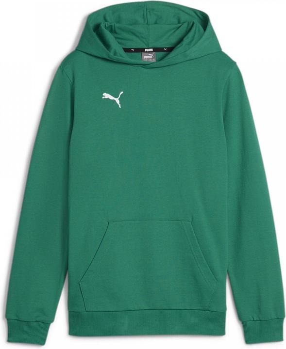 Actual product image Puma teamGOAL Casuals Hoody Jr (116)