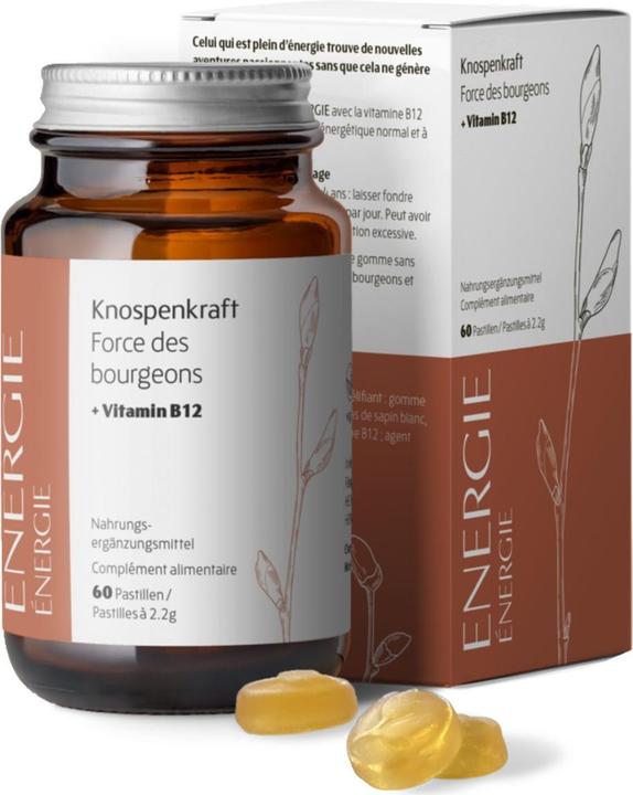 Image du produit Heidak Knospenkraft Pastillen Energie (60 pièce(s), Pastilles, 287 g)