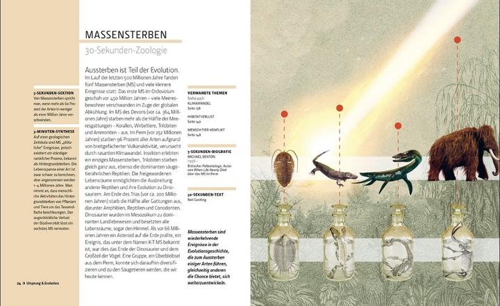 Produktbild Librero Fellowes:Zoologie in 30 Sekunden (Deutsch, Englisch, Mark Fellowes, 2024)