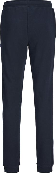 Actual product image Jack & Jones JPSTELOGO SWEATPANTS 2COL 24/25 NOOS JNR (164)
