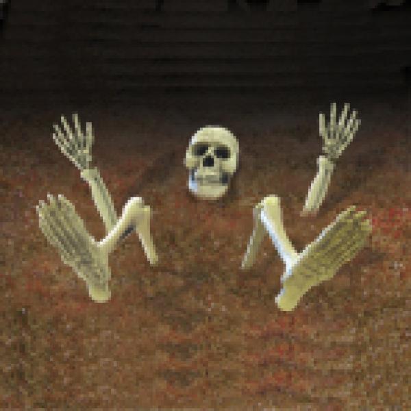Actual product image Amscan 9-piece floor decoration skeleton (3 Piece)
