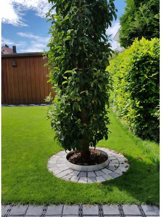 Produktbild Green Split Baumring