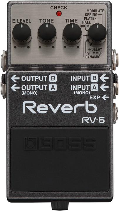 BOSS (Electronics) Rv-6 (Guitar)