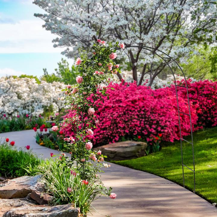 Actual product image Relaxdays Rosenbogen (38.50 cm, 140 cm)