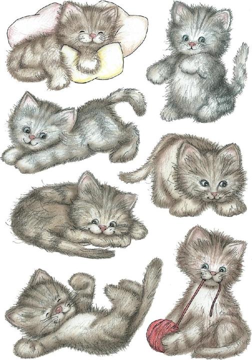 Produktbild HERMA Sticker Katzen