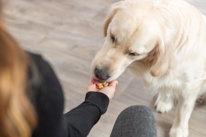 Image du produit Trixie Tapis de cuisson avec os