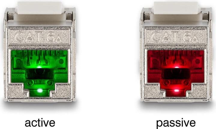 Actual product image Delock Keystone module RJ45 socket to LSA Cat.6A with LED (Keystone module)