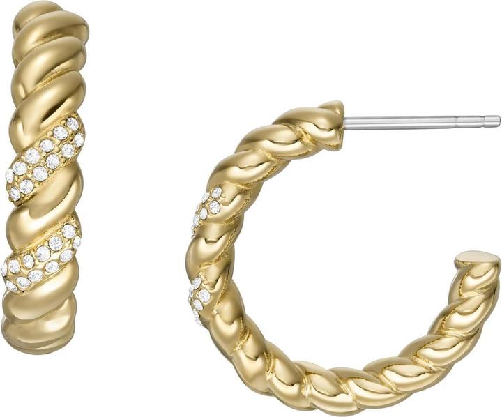 Image du produit Fossil Bijoux Boucles d'oreilles (Acier inoxydable)