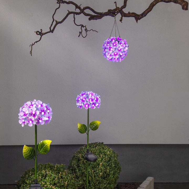 Produktbild Star Trading Hortensia (IP44)