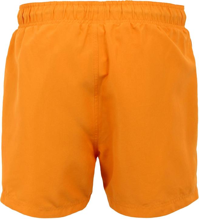 Produktbild Regatta Mawson II Kurze Hose (3XL)