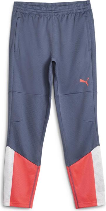 Actual product image Puma individualCUP Training Pants Jr (176)